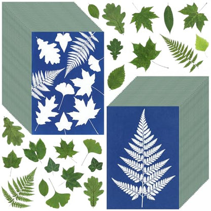 Sun Print Cyanotype Paper Kit, 50 Sheets A6 Cyanotype Papers with 1 Sheet Acrylic Panel, High Sensitive Nature Solar Activated Sun Printing Art Supplies for Arts Crafts DIY Project