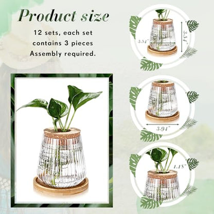 Baderke 12 Pack Propagation Vases for Plants, Vertical Grain Style - color: Vertical Grain Style