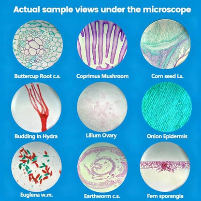 30 Lab-Grade Prepared Microscope Slides