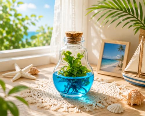 Venus Fly Trap, Grow Your Own Venus Flytrap in a 100% Self Sustaining Glass Terrarium, Maintenance Free, Easy to Grow, Healthy Growth Guarantee