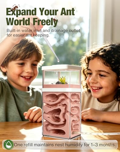 Plaster Ant Habitat with Dual-Zone Nest, 360° Observation, Built-in Expansion Ports for Colony Connection, Ideal for Ant Keeping, Scientific Observation & Student Learning
