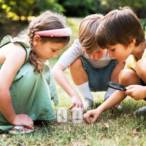 STOBOK Insect Observation Cup 2.75 Inch Transparent Bug Viewer Jar with Magnifying Lid and Air Vent 6 Pack for Kids Outdoor Nature Exploration and Educational Play
