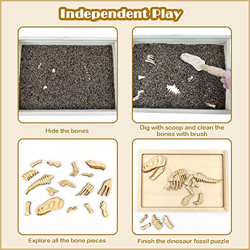 Dinosaur Excavation Archaeology Dig Kit for Kids, Fossil Sensory Bin Toys - style: Tyrannosaurus