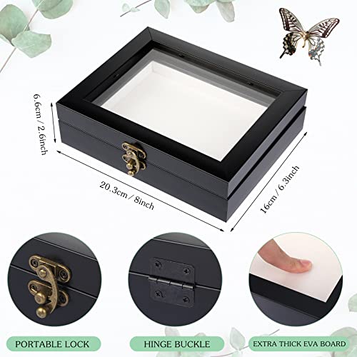 3 Pcs Insect Display Case Wall Mount Clear Bug Display Case Collection Box with Anti Fade UV Protection Top Eva Foam Pin 300 Pcs and 3 Sizes Pins Insect Shadow Box for Butterfly Specimen