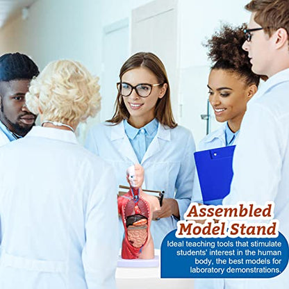 Human Heart & Body Torso & Skeleton Anatomy Model - Anatomical Assembly Model of Human Organs Mini Human Skeleton Model with Movable Arms and Legs for Medical Student Educational Kit