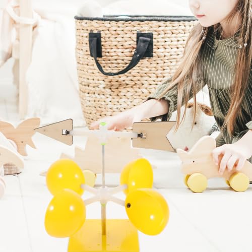 Balacoo Wind Indicator Vane Tools, Wind Direction Indicators for Kids
