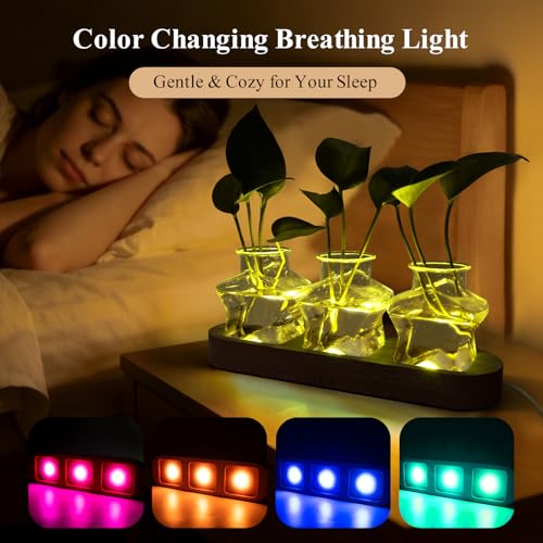XXXFLOWER Plant Propagation Station with LED Light Wooden Base 3 Star Vases - color: LED Light