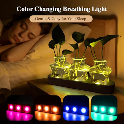 XXXFLOWER Plant Propagation Station with LED Light Wooden Base 3 Star Vases - color: LED Light