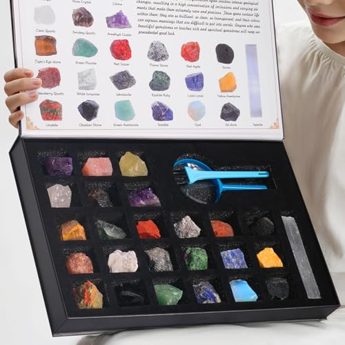 Rock Collection for Kids, 25PCS Crystal Gem Mineral Collection Set Box Gift for Boys and Girls, Natural Gemstone with Learning Guide Education Set