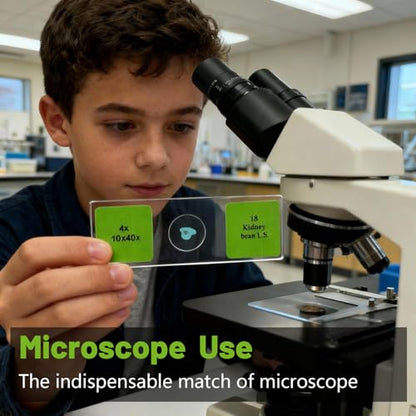 30 Lab-Grade Prepared Microscope Slides