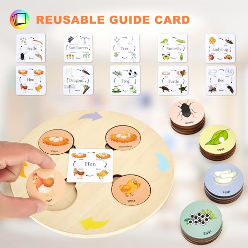Life Cycle Toys for Kids Educational Science Kits, Montessori Toys for 3 4 5 6+ Years Old, Preschool Science Learning Easter Valentines Toys Gift for Toddler Boys & Girls