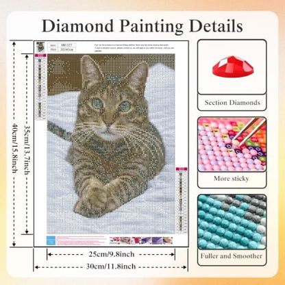 CHWGLFGG 5D Cute Cat Diamond Art Kits for Adults Beginners 12x16inch - color: KM1327-1