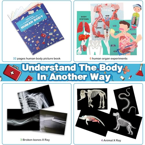 Human Body Activities & Experiments Science Kit for Kids,Human Anatomy Body Parts with Broken Bones X Ray,Lung Breathing Model, Vessels, Digestive System,Muscles Model,Skeleton,Human Organ STEM 5+