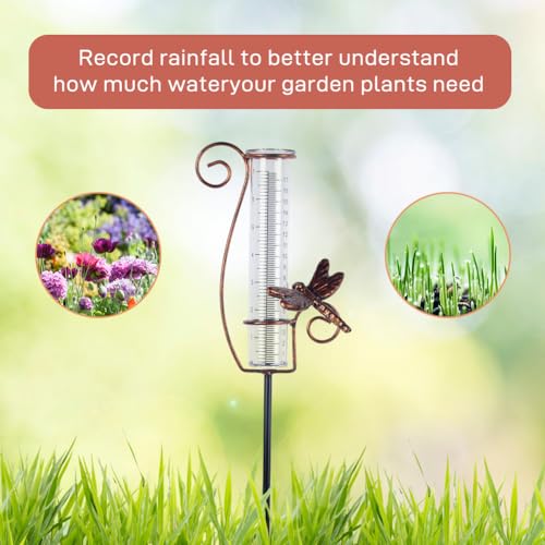 Dragonfly Rain Gauge Outdoor with 7 Inch Glass Tube - color: Dragonfly