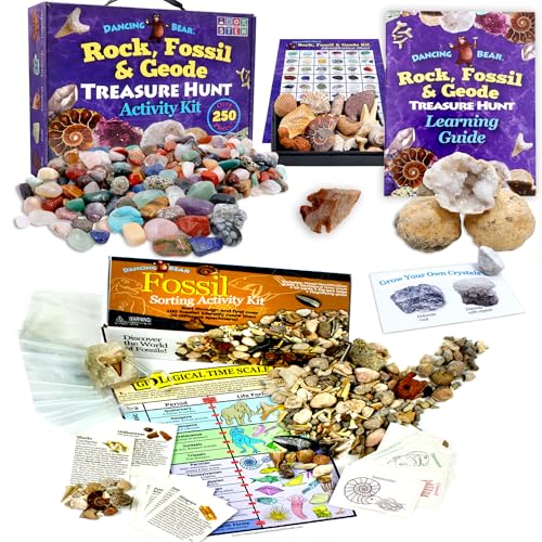 DANCING BEAR Geology Fossil Bundle – 2 STEM Activity Kits: Rock, Mineral & Geodes and Fossil Sorting Activity