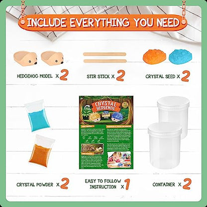 Crystal Growing Kit - 2 Vibrant Hedgehogs Fast 24H, STEM Gift for Kids 6-12 - color: 2 Hedgehog Crystal
