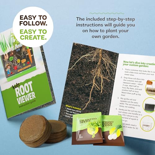 Root Viewer Kit for Kids - Grow Your Own Plant for Boys & Girls Gifts