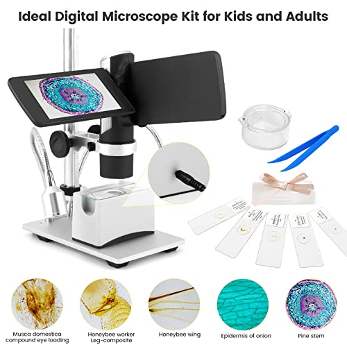 Andonstar AD203 Digital Coin Microscope for Error Coins with Metal Stand - color: Black+Pro Bracket, Slides