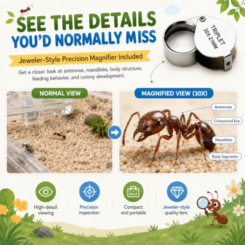 Terra Core S-Ant Farm Formicarium for Live Ants & Queen, Expandable Ant Nest with Magnetic Trash Chamber, 18 mL Water Feeder, Dual Humidity System, Red Cover & Starter Kit