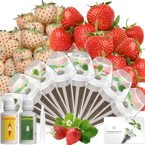 LYKOCLEAN Herb Seed Pod Kit Compatible with AeroGarden Hydroponics Growing System, Complete Indoor Gardening Supply (Strawberry, 8-pods) - color: Strawberry, size: 8-pods