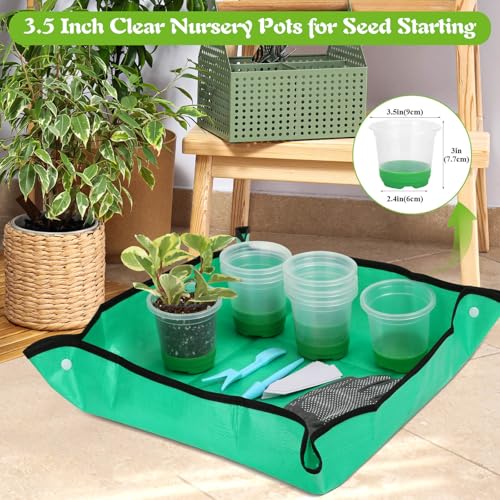 Caffox 55PCS Reusable Seed Starter Kit Includes 30 Packs 3.5" Clear Nursery Pots with Silicone Base, Repotting Mat, Gardening Gloves, Plant Labels and Seedling Tools for Easy Transplant - size: 3.5 Inch Clear Nursery Pots