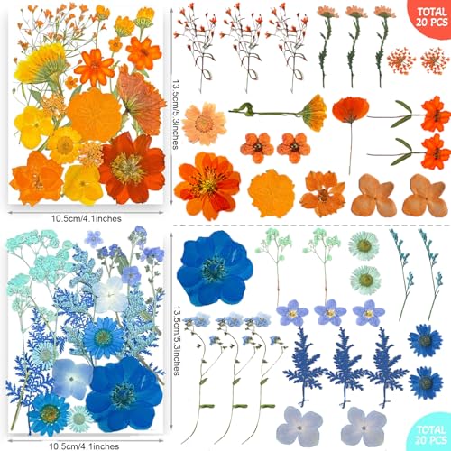301Pcs Multi-Style Dried Pressed Flowers & Leaves (10 Packs) - Pressed Flower for Crafts, Resin, Nail Art, Candle, Soap, Scrapbooking & Frame Decor