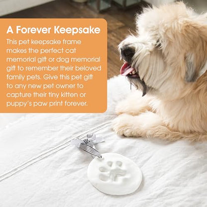 Pearhead Pet Paw Print Keepsake Ornament Kit, No-Bake Clay Kit - color: Clay Pawprint Kit, 3 Ribbons, size: 1-Pack