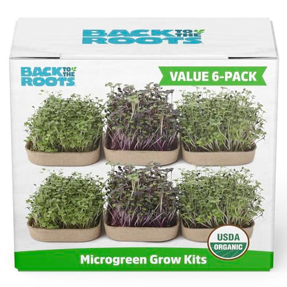 Back to the Roots DIY Microgreen Grow Kit, 6-Grow Variety Pack - color: Microgreen 6ct