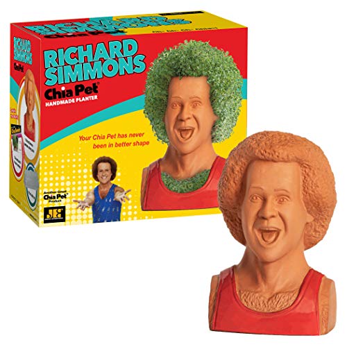 Chia Pet Richard Simmons with Seed Pack, Decorative Pottery Planter, Easy to Do and Fun to Grow, Novelty Gift, Perfect for Any Occasion - style: Richard Simmons
