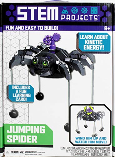 STEM Projects Jumping Spider - color: Jumping Spider