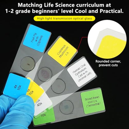 Microscope Slides with Specimens for Kids, 30 Lab-Grade Prepared Microscope Slides, Animal Plant Microbe Cells, STEM Biology Kit for Kids Ages 6-8 Homeschool, Classroom Labs & Science Education - size: Ages 6-8