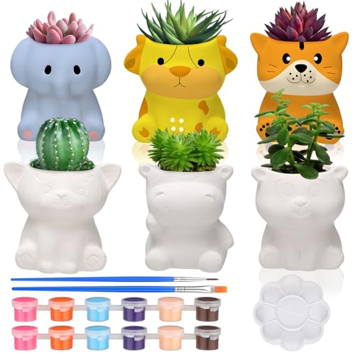 Beeveer 6 Sets Paint Your Own Ceramic Animal Succulent Planters Paintable Animal Ceramic Small DIY Figurines Unpainted Succulent Pots with Drainage Hole for Adults - style: Lovely Animal