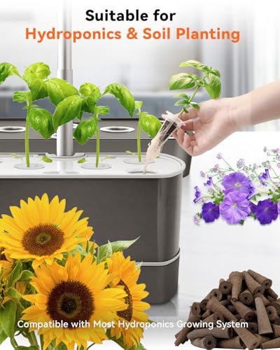 LYKOCLEAN Herb Seed Pod Kit Compatible with AeroGarden Hydroponics Growing System, Complete Indoor Gardening Supply (Vibrant Flower, 8-pods) - color: Vibrant Flower, size: 8-pods