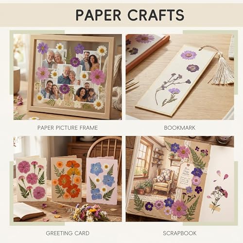 LUXEEASE 100P Purple Dried Pressed Flowers - color: Purple Medley 100p