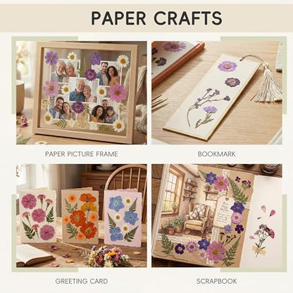 LUXEEASE 100P Purple Dried Pressed Flowers - color: Purple Medley 100p