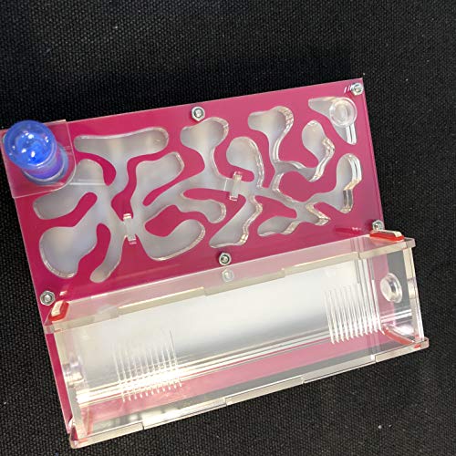 ANT 150mmx110mm Test Tube Moisture Big Space Nest Farm Acrylic, Insect Villa House Ecological Workshop (Pink) - color: pink