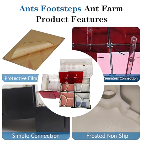 Ant Farm Nest Science DIY Terrarium Kit Care for Live Ants Ant Habitat with Water Tower Nurturing Room and Comprehensive Observation - size: 12