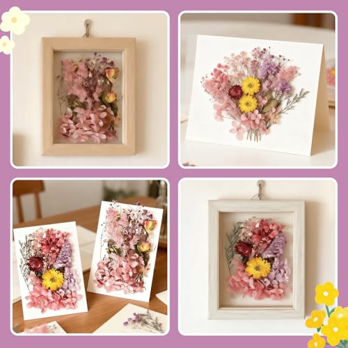 2PCS Dried Flowers Kit, Natural Dried Flowers Kit for DIY Crafts, Scrapbook, Card Making (Style15_28) - color: Style15_28
