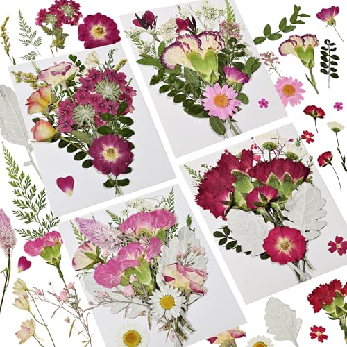 Dried Pressed Flowers for Resin - size: 70 pcs Dried Flowers