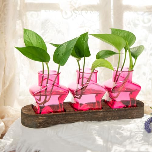 XXXFLOWER Plant Propagation Station with Wooden Stand 3 Pink Star Jars - color: Pink