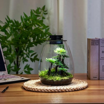 Desktop Glass Plant Terrarium with Grow Light for Carnivorous Plants & Moss