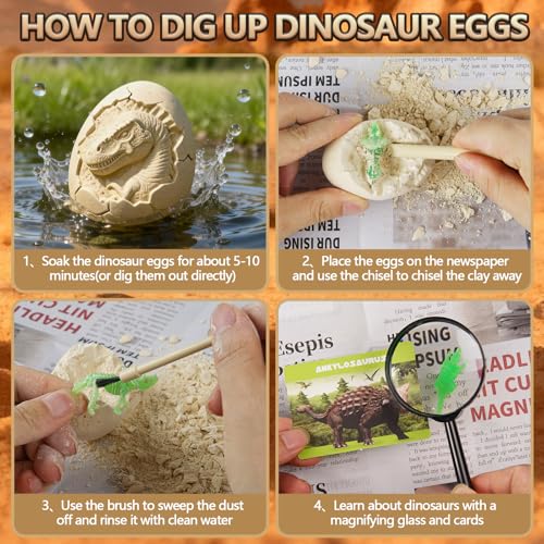 Dinosaur Eggs Toys Dig Kit (24 Eggs) - color: Color & Night Light