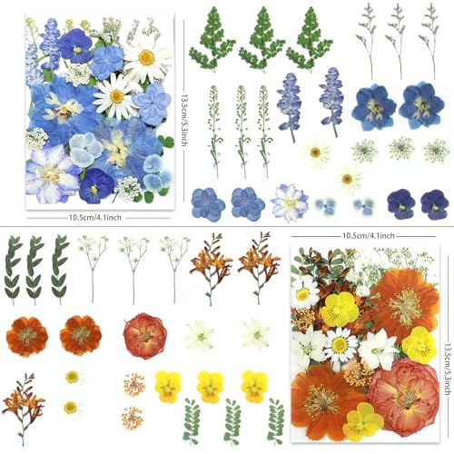 LUXEEASE 4-Color 100P Vibrant Dried Pressed Flowers - color: Blue/Orange/Pink/Purple 100p