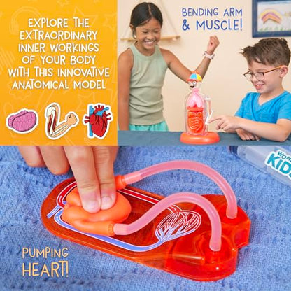 Wow in The World The Amazing Human Body Kit by Thames & Kosmos, Interactive Mechanical Anatomy Model w/Pumping Heart, Lungs, Digestive Tract, Glow-in-The-Dark Bones, Brain & More, Science for Ages 4+