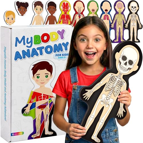 MyBODY Large Human Body Anatomy Model for Kids & Teens - Bottom-to-Top Magnetic Assembly Toy & Educational Learning Kit with Skeleton Base, 7 Puzzle Layers incl. Muscular, Digestive & Nervous Systems