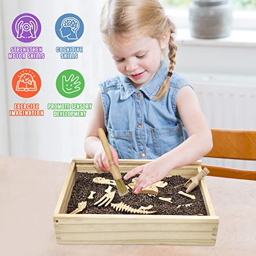 Dinosaur Excavation Archaeology Dig Kit for Kids, Fossil Sensory Bin Toys - style: Tyrannosaurus