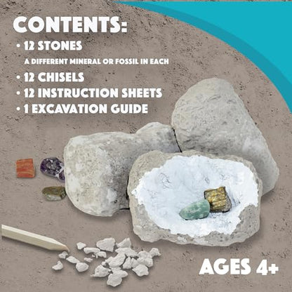 MindWare Dig It Up! Stone Fossil Dig Kits for Kids