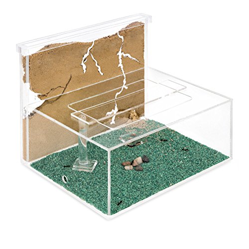Sand Ant Farm L (Formicarium (Anthill, Formicarium, Educational, Ants)
