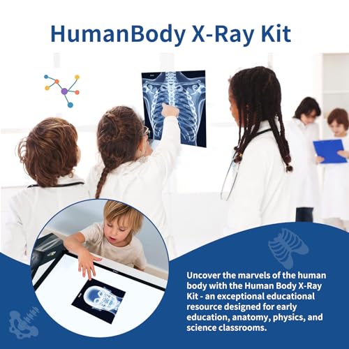 Human X-Rays for Kids' Light Table - 14-Piece Skeleton Puzzle & 7 Body System Charts (Nerves, Vessels, Lymphatic) - X-Ray Toys for Kids, STEM Toy for Light Table, School Projects & Doctor Role Play