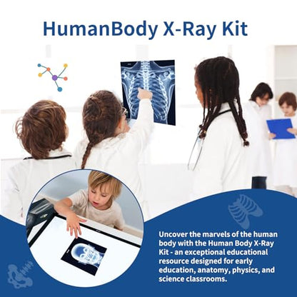 Human X-Rays for Kids' Light Table - 14-Piece Skeleton Puzzle & 7 Body System Charts (Nerves, Vessels, Lymphatic) - X-Ray Toys for Kids, STEM Toy for Light Table, School Projects & Doctor Role Play